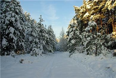 《方舟生存飞升》一周年，2025Q1升级UE5.4