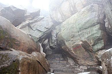 TBS电台节目主持人与播音员将参演《如龙8》